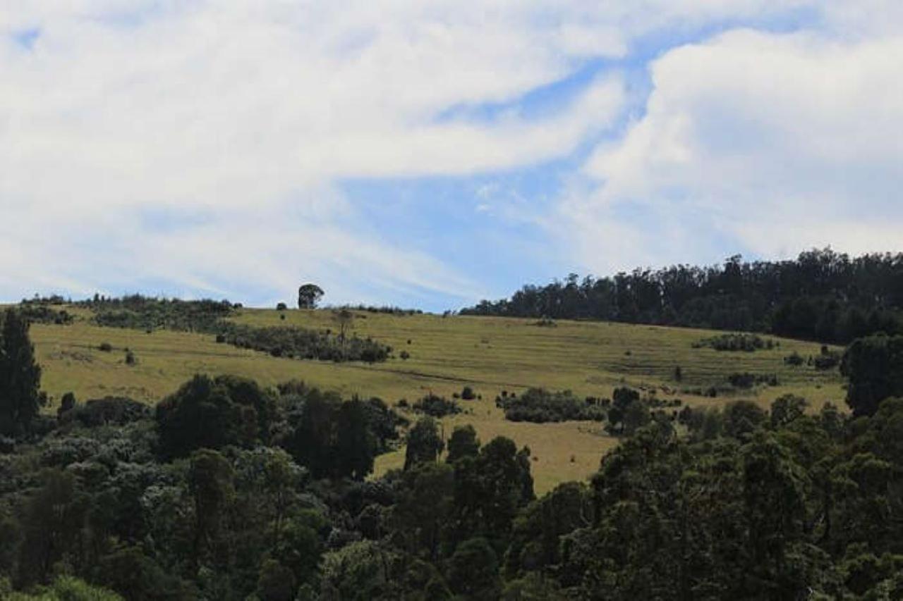 Blusalz Homes - One Lovedale, Ooty - Tamil Nadu Exterior foto