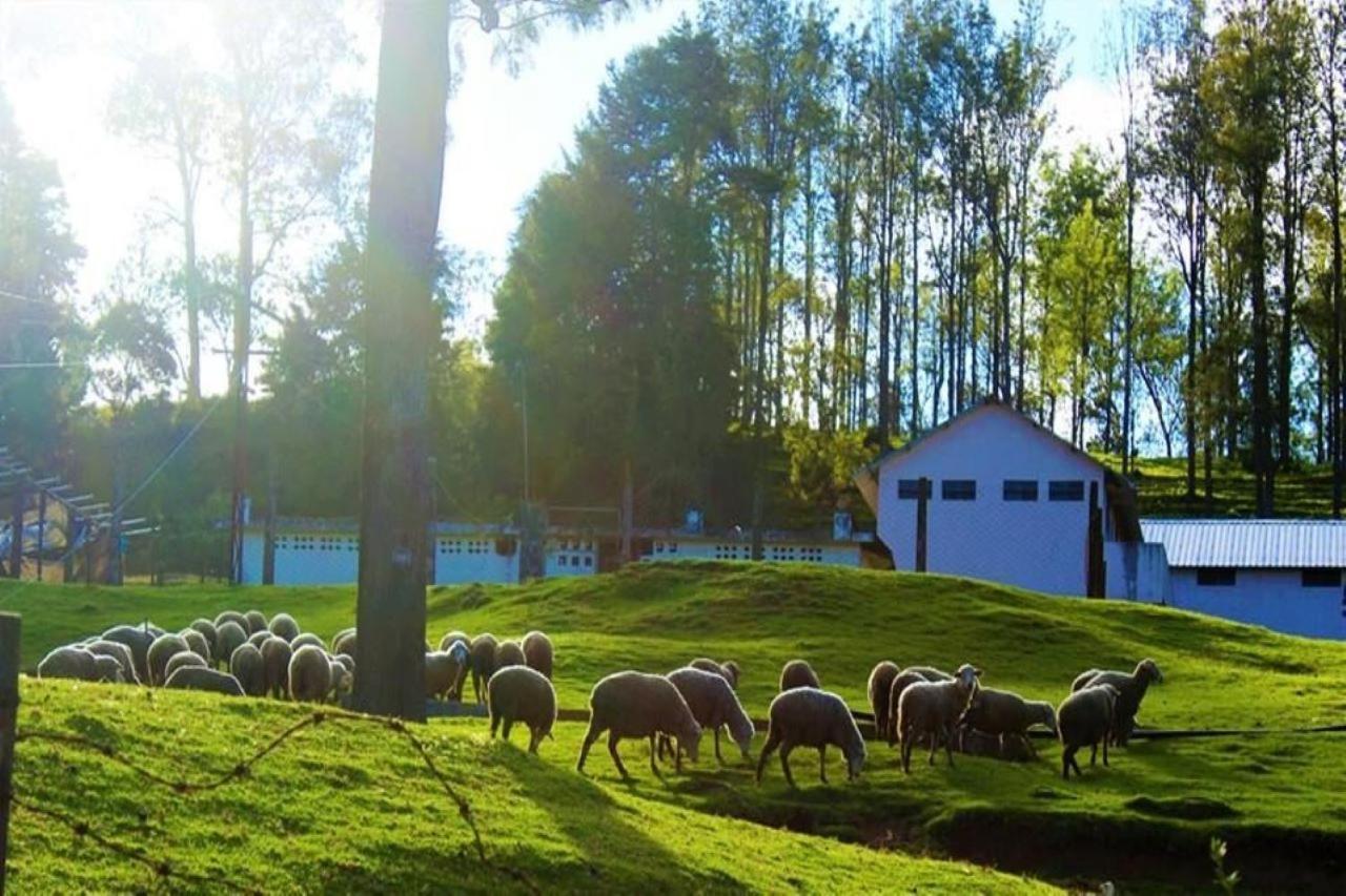 Blusalz Homes - One Lovedale, Ooty - Tamil Nadu Exterior foto