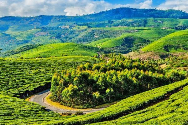 Blusalz Homes - One Lovedale, Ooty - Tamil Nadu Exterior foto